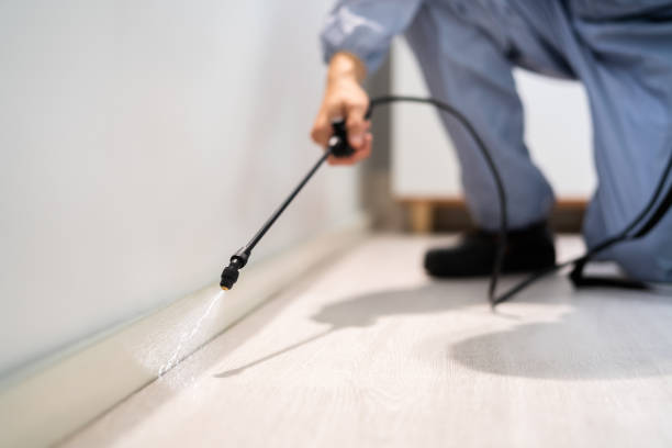 Licensed Pest Control service in Saratoga, CA - Show Me Pest Control