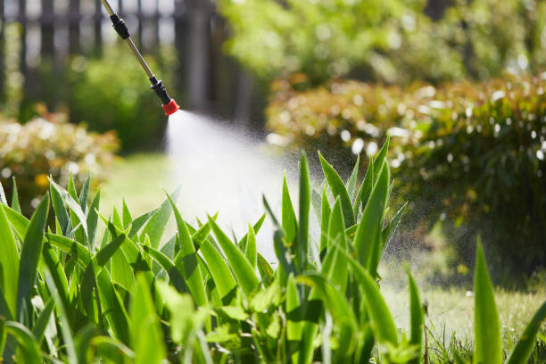 Tamper-Resistant Bait Stations for Rodents in Saratoga