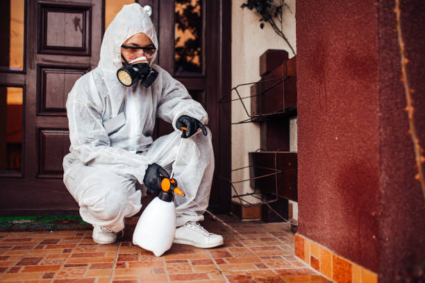 Attic and Crawl Space Rodent Treatment in Saratoga