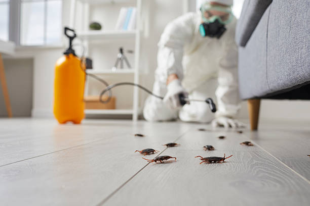 Commercial Rodent Management in Saratoga